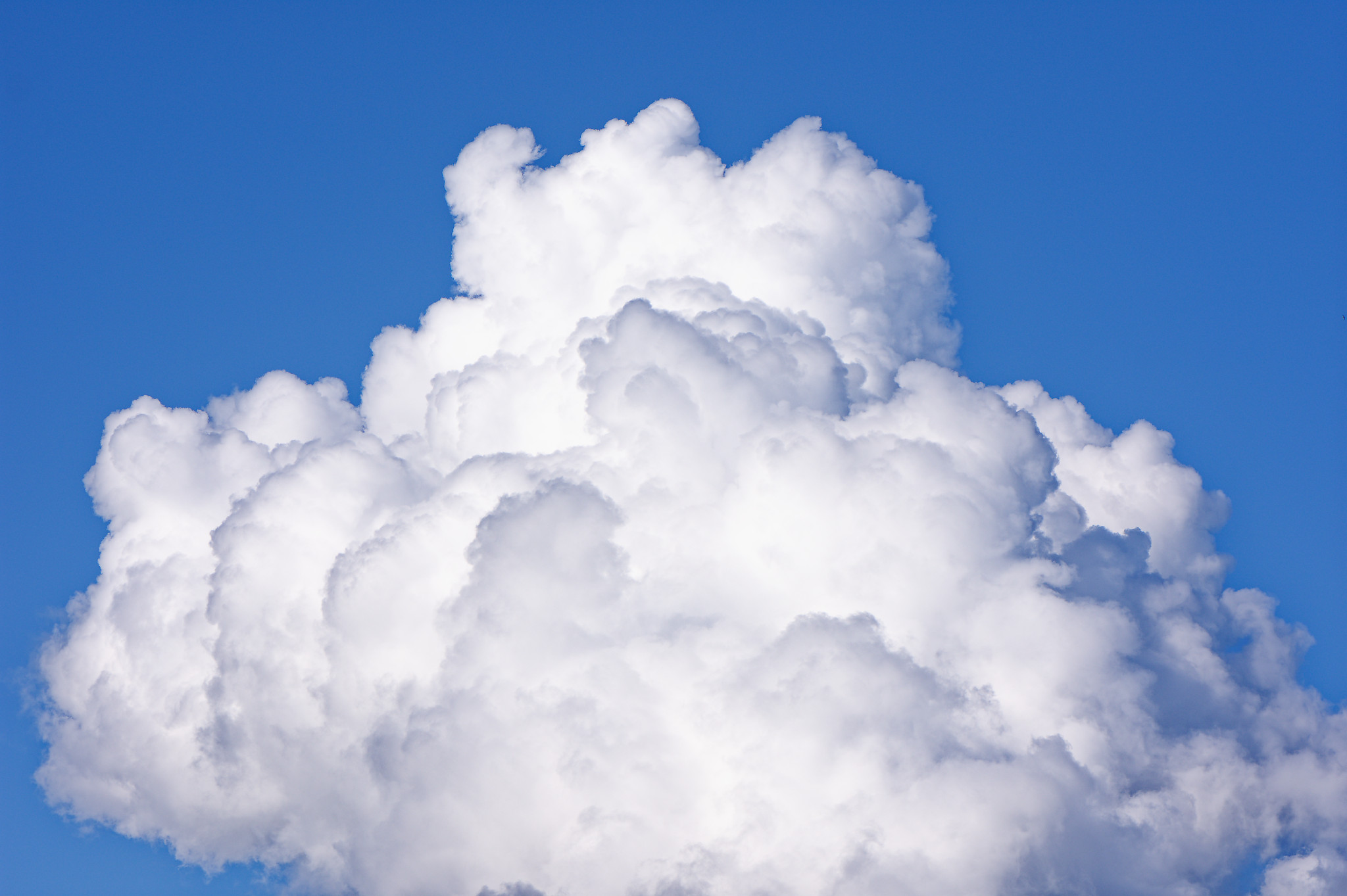 Umleitung: Kunst, Fotografie, Wau Holland, Blick nach Rechts, Mythen ...